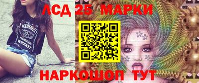 СК Кингисепп