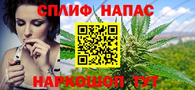 СК Кингисепп