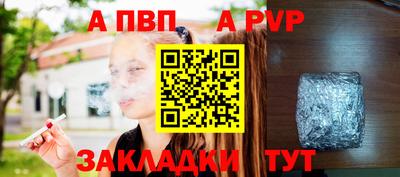 СК Кингисепп