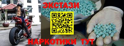 СК Кингисепп