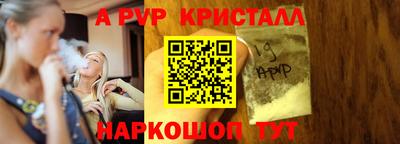 СК Кингисепп