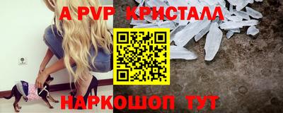 СК Кингисепп