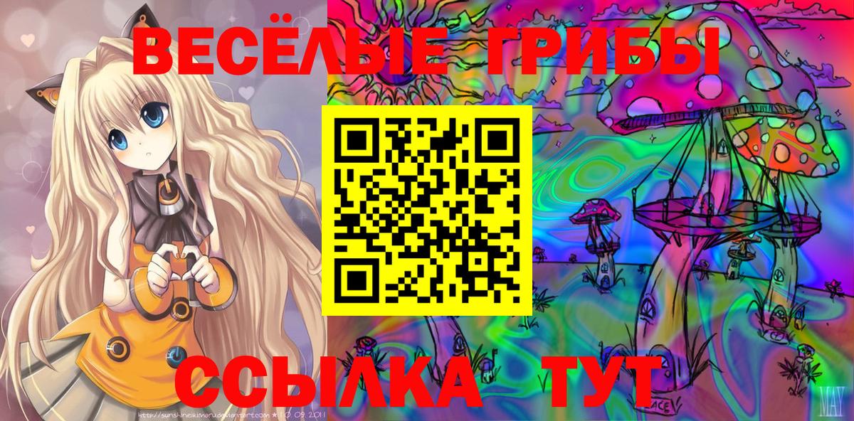 Мончегорск  цена   Вход с VPN  Галлюциногенные грибы GOLDEN TEACHER 